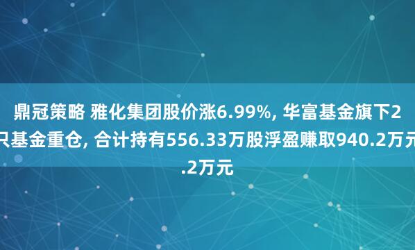 鼎冠策略 雅化集团股价涨6.99%, 华富基金旗下2只基金重仓, 合计持有556.33万股浮盈赚取940.2万元